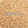 Sesame Seeds