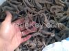Dried Seafood Products...