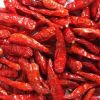 Red Chilli