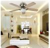 2015 New Ceiling fan lights Ceiling light Continental minimalist moder