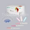 HCG Urine Pregnancy Test