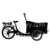 CE denmark family cargo three wheels advertising trike for adults 2015