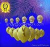Display shell Firework...