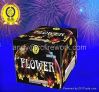 Display Cake fireworks...