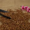 Buckwheat Husk Shell Buckwheat Pillow Buckwheat Hull Stuffing