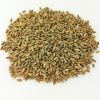 Best Quality Hot Selling Organic Dried Rye Grain for Bulk Purchase