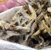 Tusk Dry Stock Fish Cod / dried salted cod fish for sale