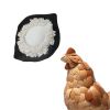 Natural dried Whole egg powder with high quality protein