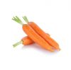 Fine price carrot farm fresh farm price carrot