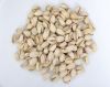 Macadamia Nuts