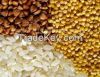 Organic Grain from Ukraine