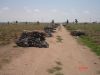 PELD ( PLASTIC MULCH F...