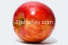 Fresh Apples from Gree...