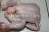 Brazilian Frozen Chick...