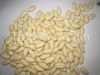 Blanched Groundnut kernel