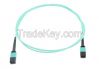 MPO / MTP Connector In...
