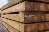 Siberian Soft Larch