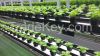 Indoor Hydroponic Mass Production Plant Factory