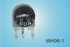potentiometer