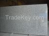 Polished and Flamed Gr...