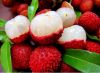 Lychee with Cheapest P...