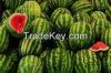 Water Melon.