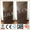 GOLDLUCKPLEX/film faced plywood/china manufacturer