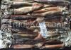 Frozen Illex Squid 100...