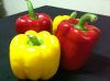 Color Fresh Capsicum