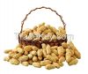 export peanuts in shel...