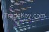 Website Development Se...