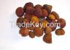 Cow Gallstones