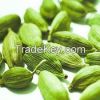 Cardamom