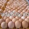 Fresh Table Chicken Eg...
