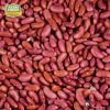 Kidney Beans Organic Kashmiri Rajma Premium Grade