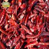 Red Chilli Powder Kashmiri Organic