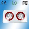 108W LED Grow Light, 3W Chip Red/Blue AC 85-265V Mini Greenhouse Hydroponic System, Fast Shipping