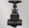 Forged Globe Valve