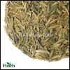 Finch Green Tea Long Jing (Dragon Well)