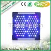 HydroponicFull Spectrum grow plant led light