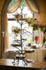 Twig Vase 6 Plate Cupc...