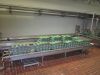 Second Hand Complete Mozzarella Production Line for SALE