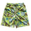 Men's Swimming Trunks