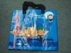 Non Woven shopping bag