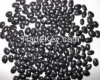 Organic Black Beans