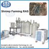 Urban Fish Farming Tilapia Fish Farming Equipment