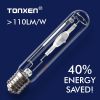 E40 250W High Efficien...