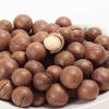 Bulk High Quality Macadamia/ Macadamia nuts/roasted macadamia