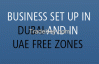 Free Zone Company Setup  in Dubai ,Sharjah,Ajmam,Fujairah,RAK.