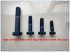 High strength bolts with hexagon head for steel structures from China supplier